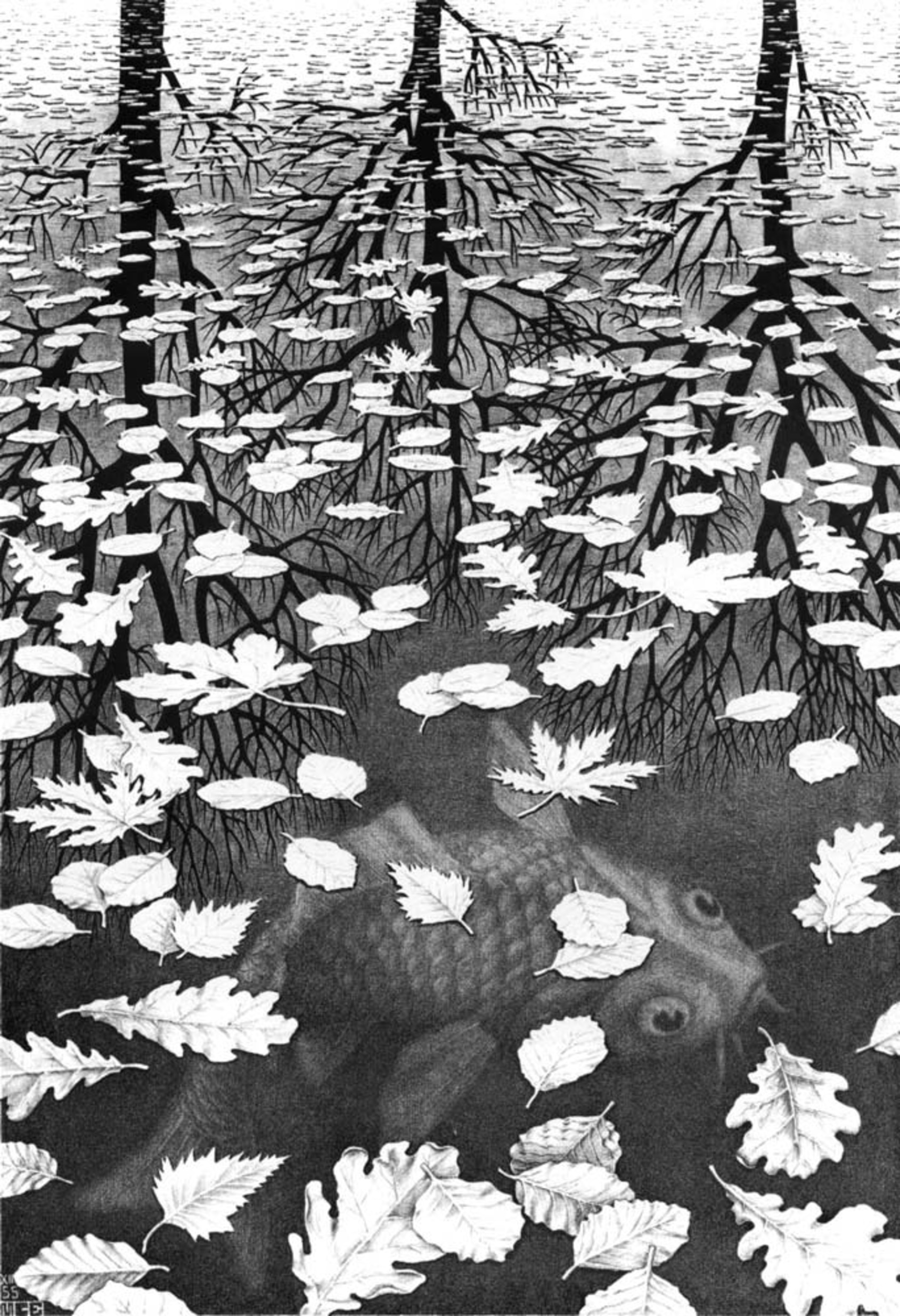 Three Worlds, 1955, by Maurits Cornelis Escher Drie werelden  © Jiro Kamata  
