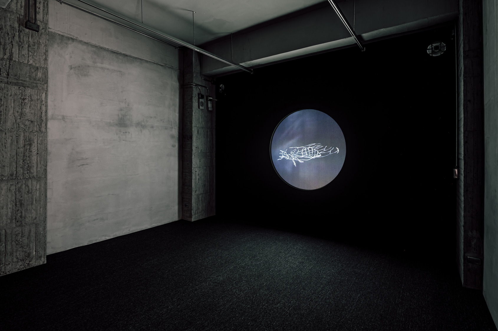 “My mother’s garden”，Apichatpong Weerasethakul，Daisuke Miyatsu: 25 years of video art - A point of transit signals from East and South East Asia © 金馬賓館當代美術館 ALIEN Art Centre 