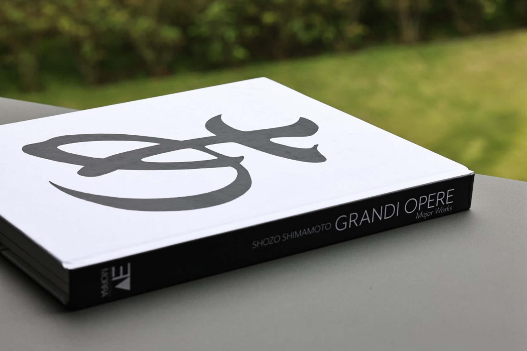  Shozo Shimamoto Grandi Opere Major Works Catalogue © ALIEN Art