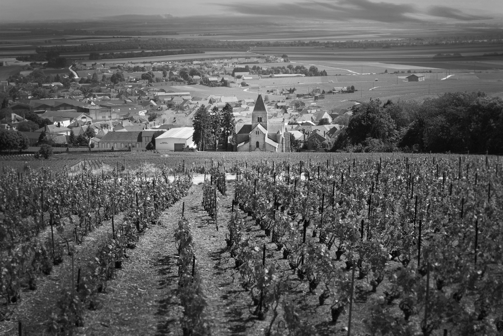 白中白產區Le Mesnil sur Oger與Oger兩村的葡萄園 © Courtesy of Philippe Gonet 