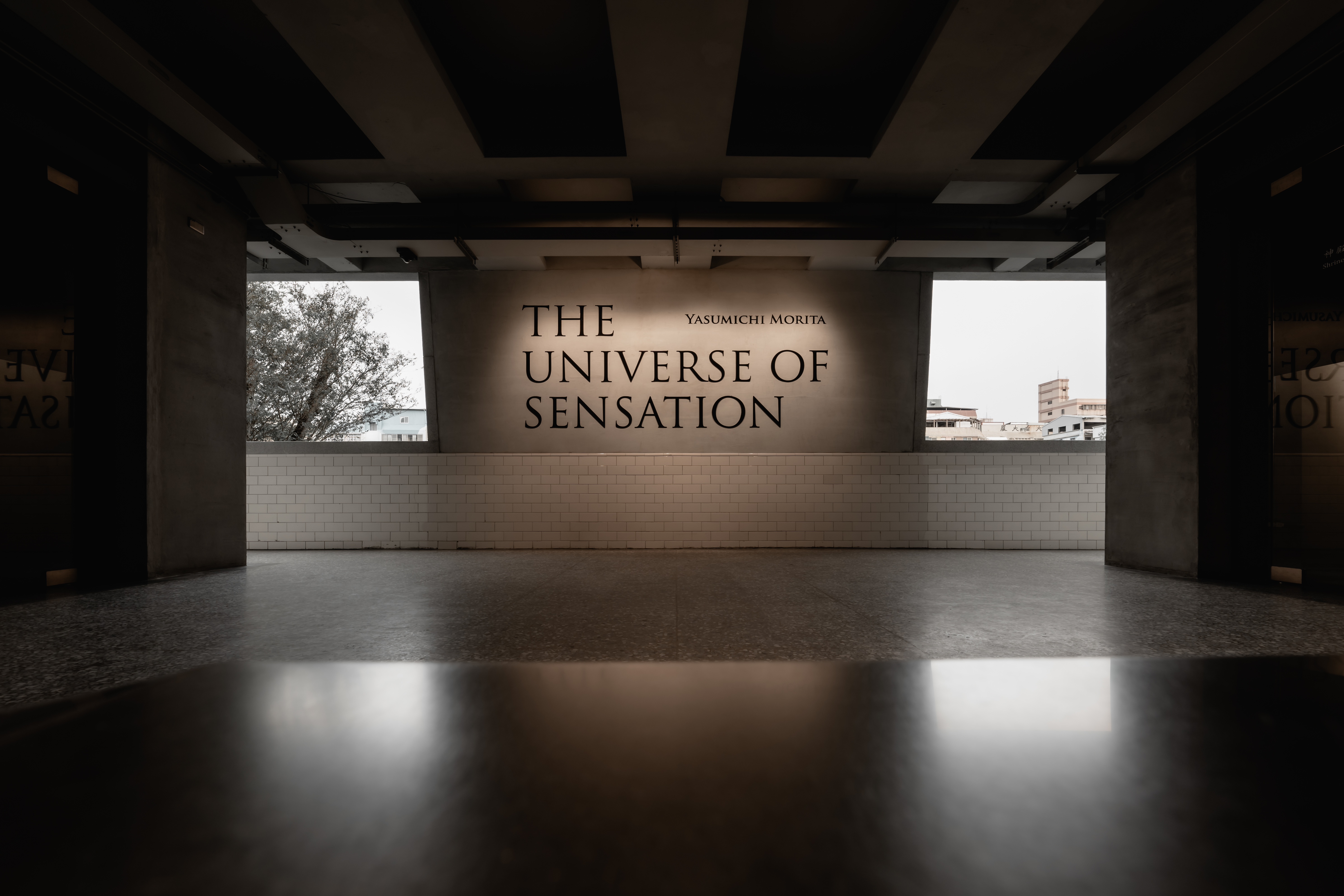 The Universe of Sensation