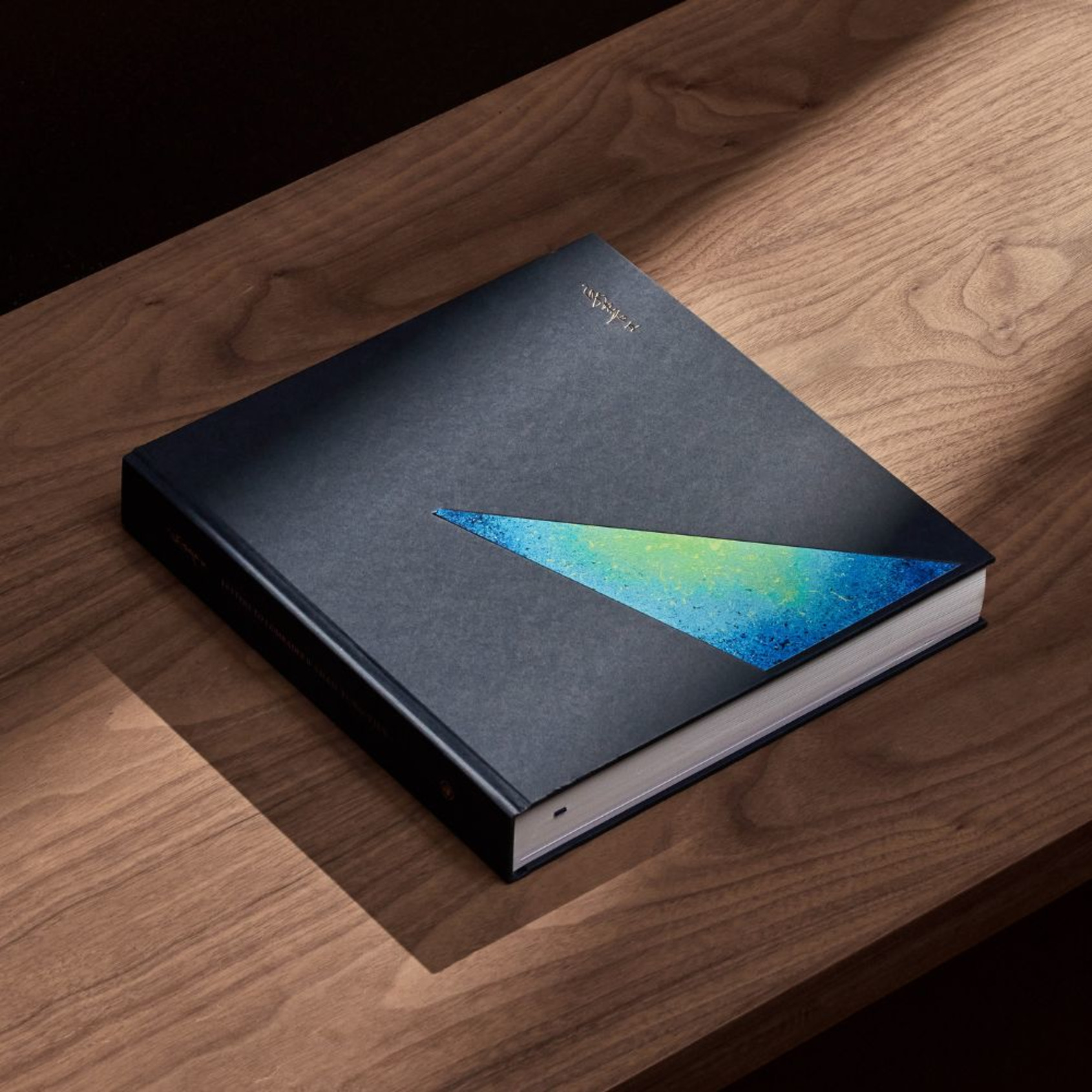 Shao Yung-Tien, LETTERS TO COMRADES II: Journey through the Dark, Kaohsiung: ALIEN Art, 2024.