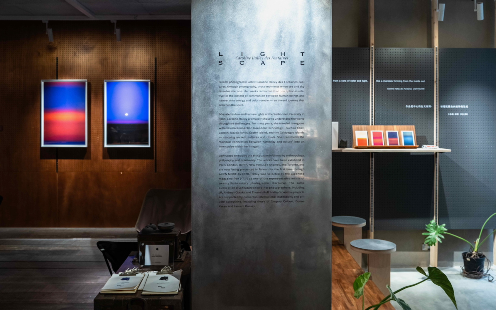 The work explores a dialogue between collection and living spaces. 2025-2026, Location: sunsun-museum © ALIEN MODE 