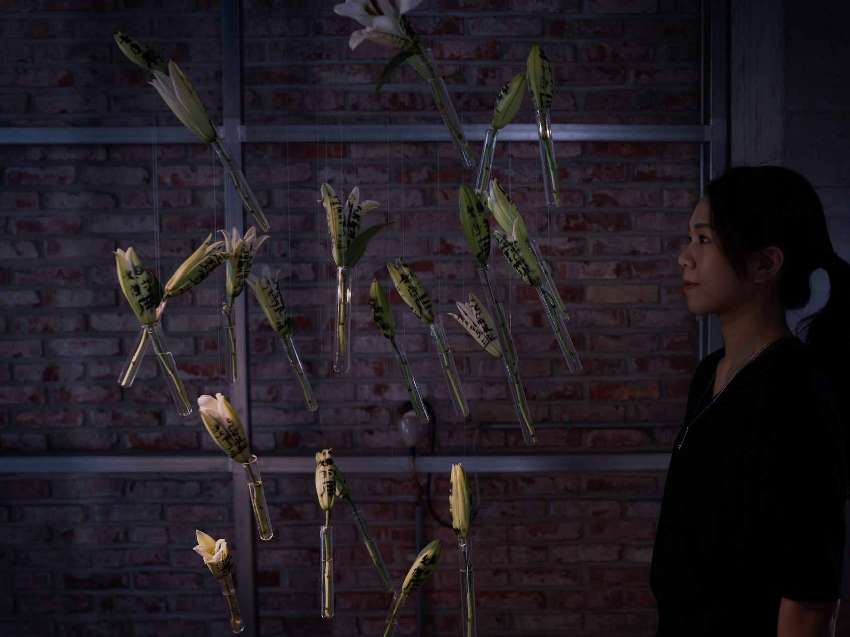 2025影像沙盒III-V｜《後生》展場照｜金馬賓館當代美術館 1F｜© ALIEN Art Centre 