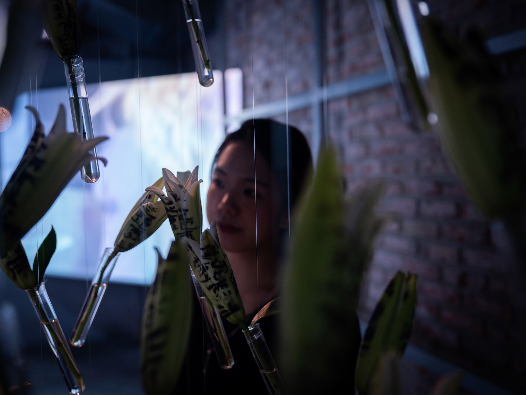 2025 Video Sandbox III–V｜HOUSHENG / POSTLIFE｜Exhibition View｜ALIEN Art Centre, 1F｜© ALIEN Art Centre 