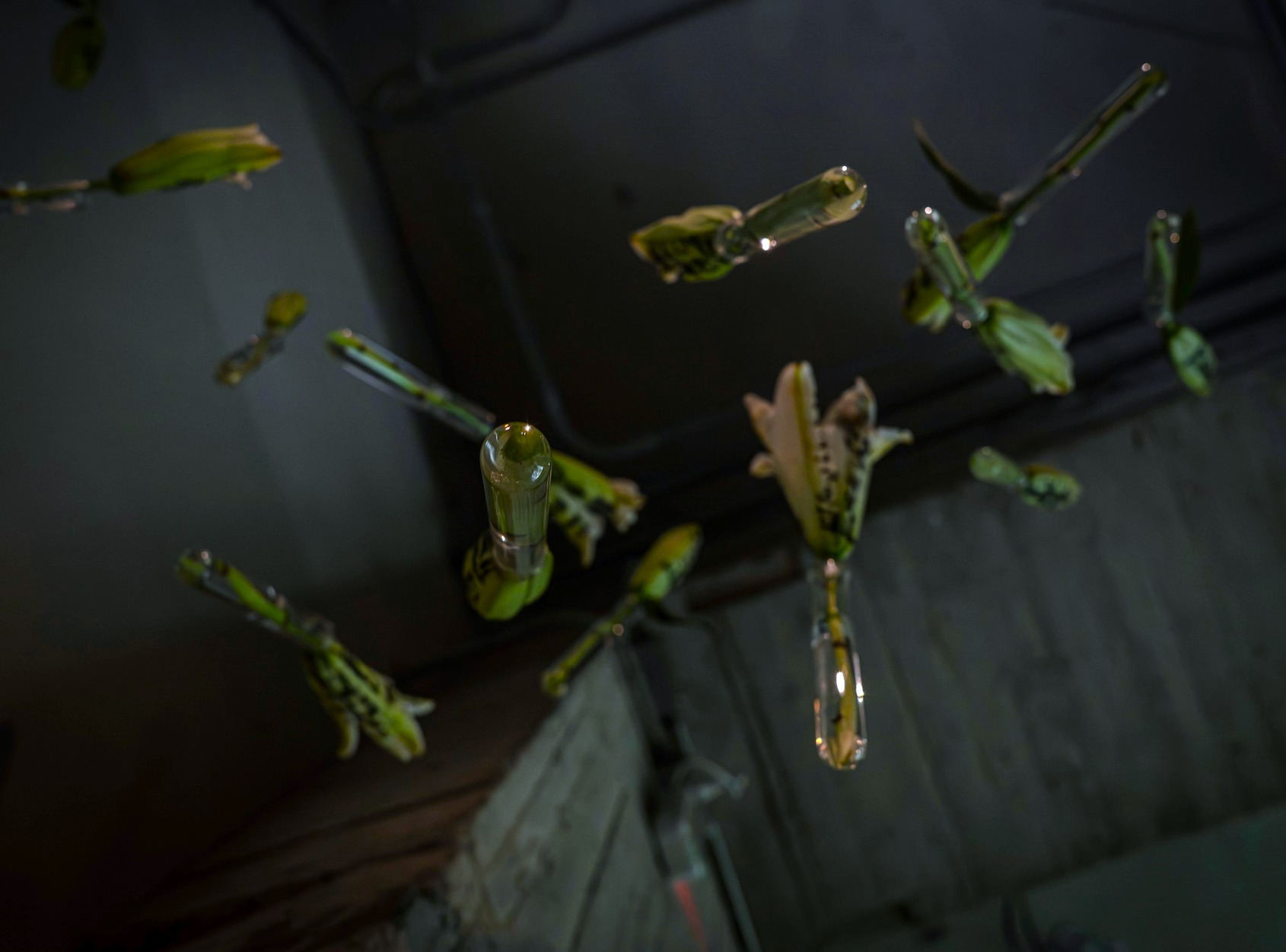 2025 Video Sandbox III–V｜HOUSHENG / POSTLIFE｜Exhibition View｜ALIEN Art Centre, 1F｜© ALIEN Art Centre 