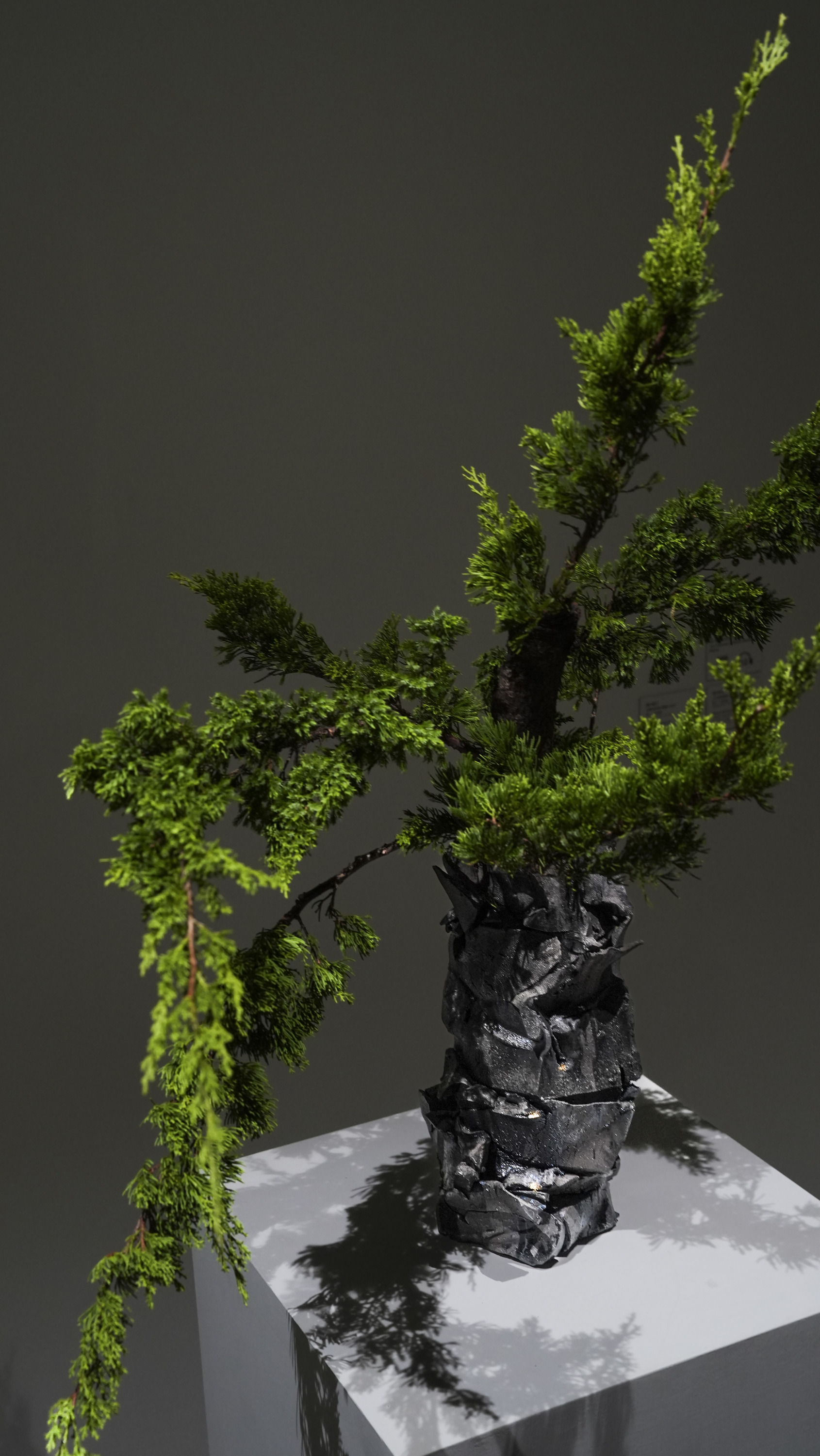 《塵與金》展場照｜金馬賓館當代美術館 1F｜© ALIEN Art Centre 