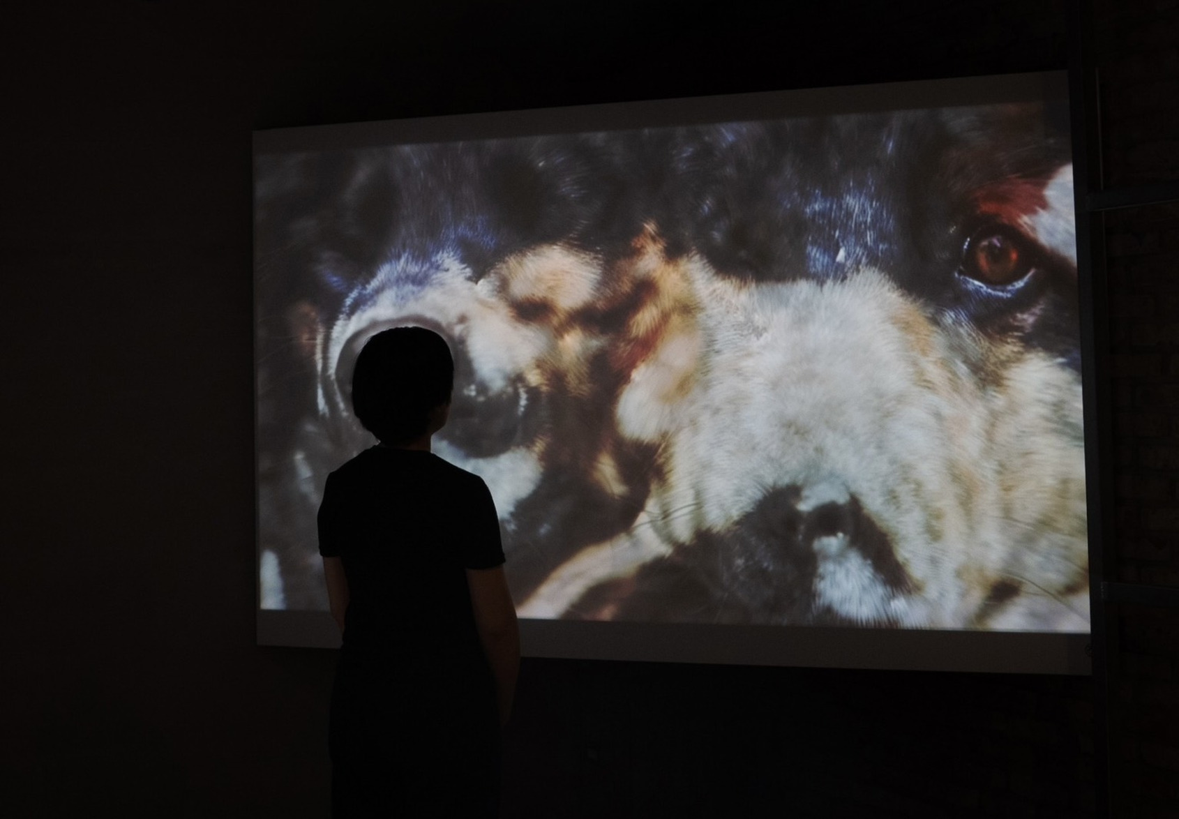 2025影像沙盒III-Ⅶ｜《重組的回憶 ─ 重生》展場照｜金馬賓館當代美術館 1F｜© ALIEN Art Centre 