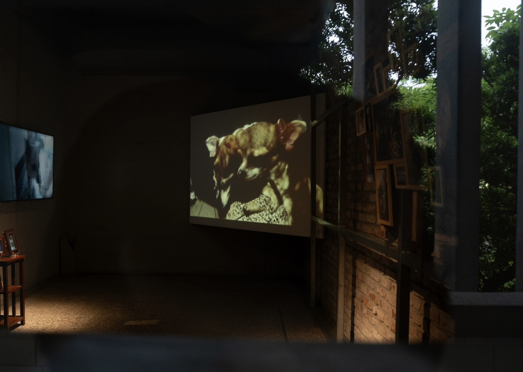 2025影像沙盒III-Ⅶ｜《重組的回憶 ─ 重生》展場照｜金馬賓館當代美術館 1F｜© ALIEN Art Centre 