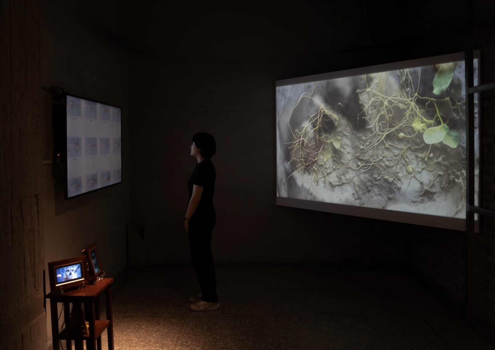 2025 Video Sandbox III-Ⅶ：Reassembled Memories: Reborn, photo at ALIEN Art Centre, courtesy of the artist. © ALIEN Art Centre 